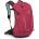 Osprey Hikelite tour 24