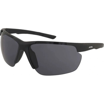 Alpina Диоптрични очила Alpina Defey HR Black Matt/Black