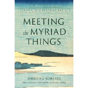 Meeting the Myriad Things (ISBN: 9781645472728)