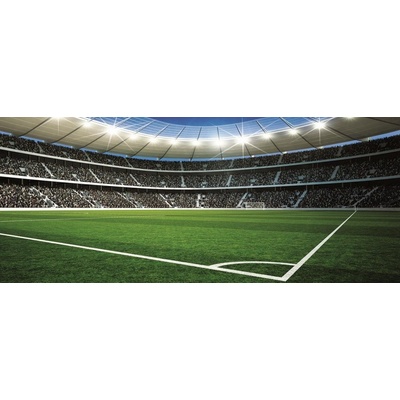 Postershop Fototapeta Fotbalový Stadion 2 rozměry 104x250 cm