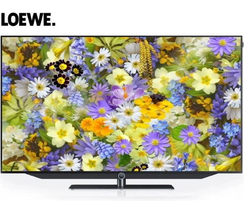 Loewe bild v.55 dr+