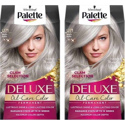 Palette Barvy na vlasy popelavá U71 frosty silver