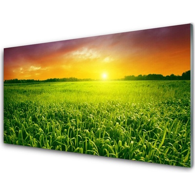 Obraz na skle Obilí Pole Východ Slunce 100x50 cm