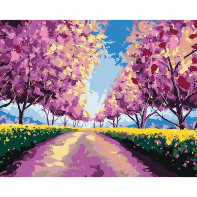 zuty Sakury na polní cestě 80 x 100 cm vypnuté plátno na rám 8596530052319