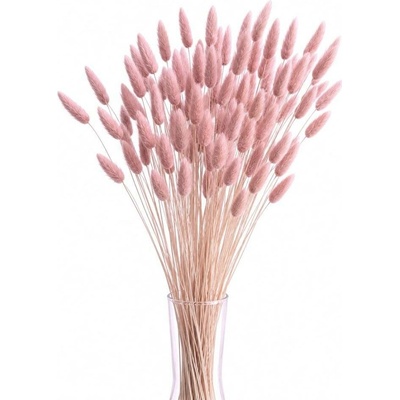 Sušený lagurus (králičí ocásek) starorůžový 90g-95g