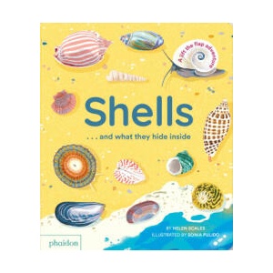 Shells. . . and What They Hide Inside: A Lift-The-Flap Adventure | SCALES HELEN (ISBN: 9781838667887)