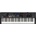 Yamaha YC61