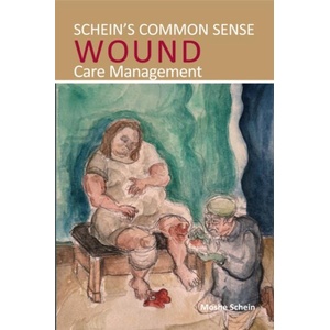 Schein's Common Sense Wound Care Management | Moshe Schein (ISBN: 9781913755737)