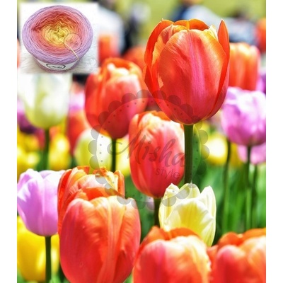 Mishastyle Tulipány 3nitka návin: 1700m