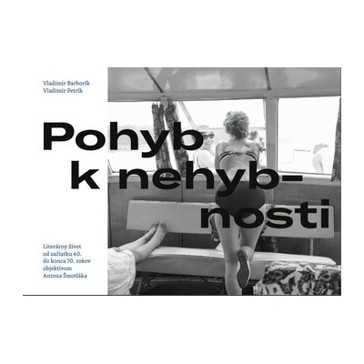 Pohyb k nehybnosti - Vladimír Petrík