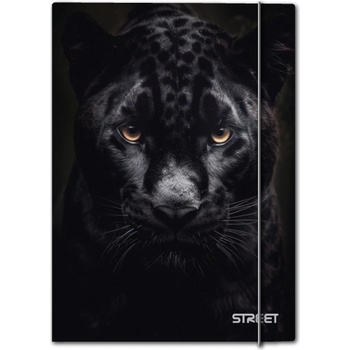 STREET Папка с ластик Street Africa A4, 1 cm (31155-А-AFRICA)