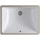 Rea Adela U6653