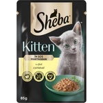 Sheba Kitten chicken in sauce 85 g