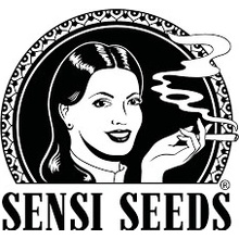 Sensi Seeds Jack Herer semena neobsahují THC 1 ks