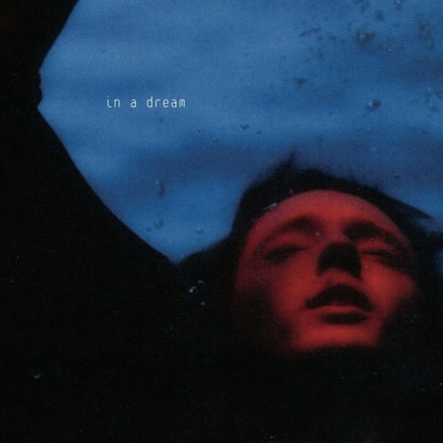 Troye Sivan - In A Dream (Anniversary Edition) (Red/Blue Coloured) (180 g) (LP) (0602478808289)