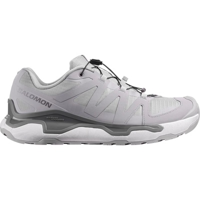 Salomon XC Roam GTX Mens - Alloy/Alloy