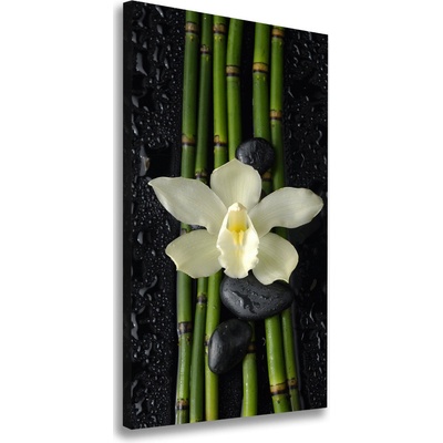 Vertikálny foto obraz na plátne Orchidea a bambus 50x100 cm