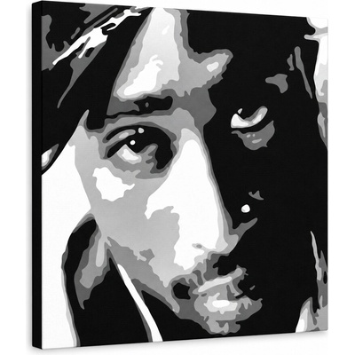 Ručne maľovaný POP Art obraz 2 PAC - 50x50 cm