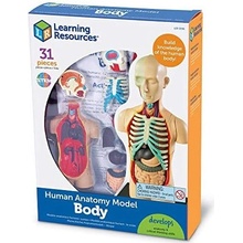 Learning Resources Anatomický model lidského těla