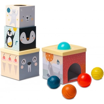 Образователна игра Taf Toys - Сортер за подреждане, Северен полюс (TT12735)