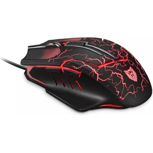Liocat MX 557 C