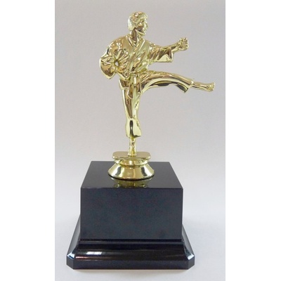 VIZINGR Karate figurka MUŽ zlato F10-60Z F10-60Z/17,5 cm