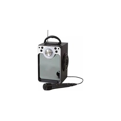 Karaoke Machine W Bluetooth 30135