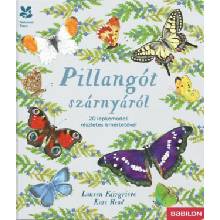 Pillangót szárnyáról