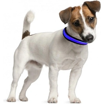 Num'axes svietiaci obojok