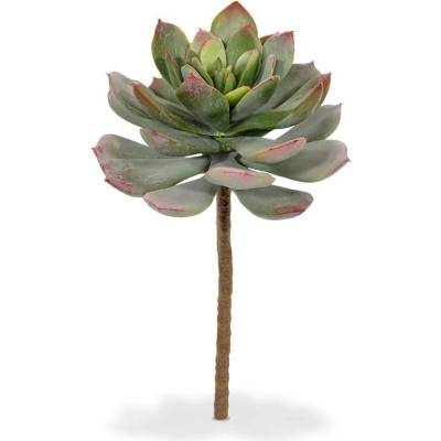 MF Umělá rostlina Echeveria (25cm) - červená