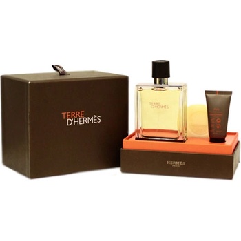 Hermès Terre d`Hermes - подаръчен комплект за мъже 100 ml