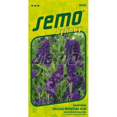 SEMO Levanduľa lekárska MUNSTEAD BLUE