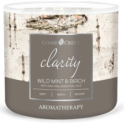 Goose Creek AROMATHERAPY WILD MINT & BIRCH 410 g