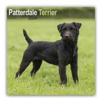 Patterdale Terrier Wall 2023