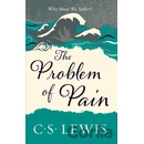 The Problem of Pain