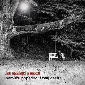 Jan Spálený A ASPM - Nemůžu popadnout tvůj dech (CD) (0190295494612)