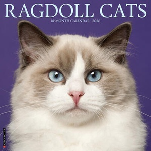 Ragdoll Cats 2026 12 X 12 Wall Calendar | Willow Creek Press (ISBN: 9781549252549)