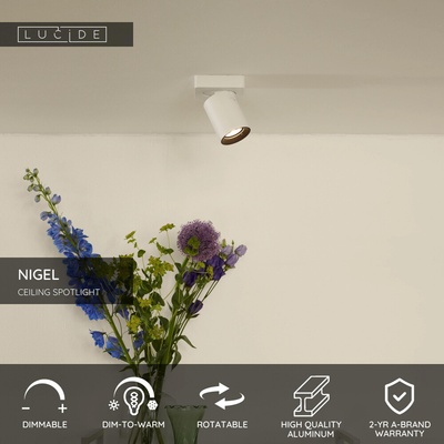 Lucide 09929/15/31