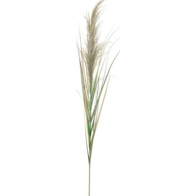 umělá rostlina, Rákosová větvička cibulová 180 cm