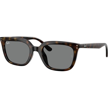 Ray-Ban RB4439D 710/87 (RB4439D 710/87)