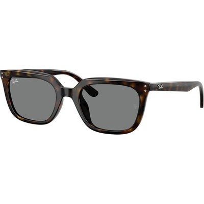 Ray-Ban RB4439D 710/87
