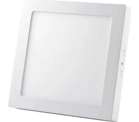 Nedes LPL421