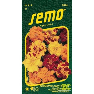 SEMO Aksamitník rozkladitý - Durango Mix 30s