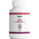 Medveď natural Estro Balans 60 kapsúl