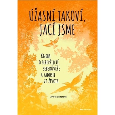 Úžasní takoví, jací jsme: Kniha o sebepřijetí, sebedůvěře a radosti ze života – Hledejceny.cz