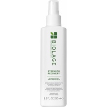 Biolage Strength Recovery Strenght Recovery posilňujúci sprej pre poškodené vlasy 250 ml