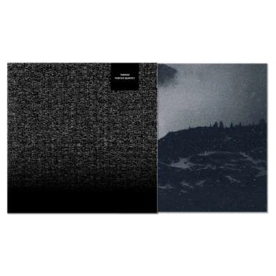 PORTICO QUARTET - Terrain CD
