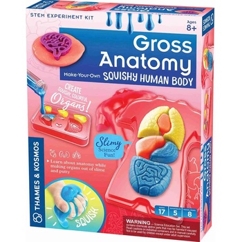 Image 1 of Thames & Kosmos Творчески комплект Thames & Kosmos - Направи си органи от пластилин (7616816)