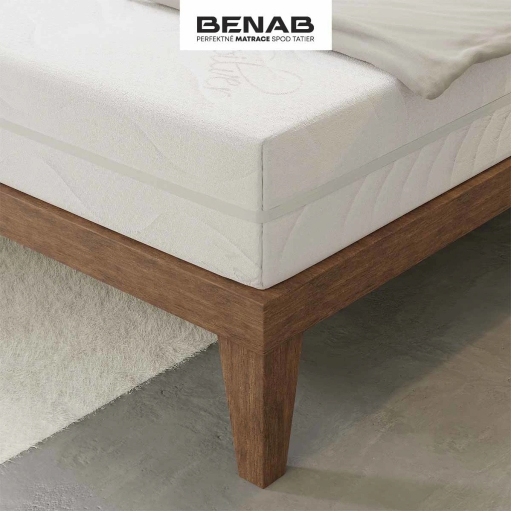 Benab Ergomax