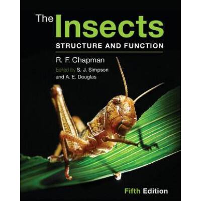 Insects | R F Chapman